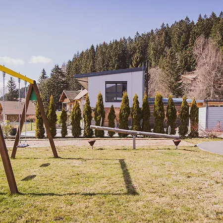 4 Saisons, Avec Piscine Chauffee Et Jacuzzi Gérardmer