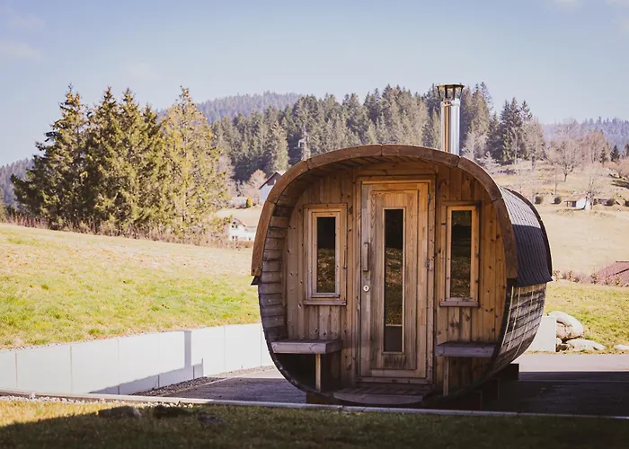4 Saisons, Avec Piscine Chauffee Et Jacuzzi Gérardmer